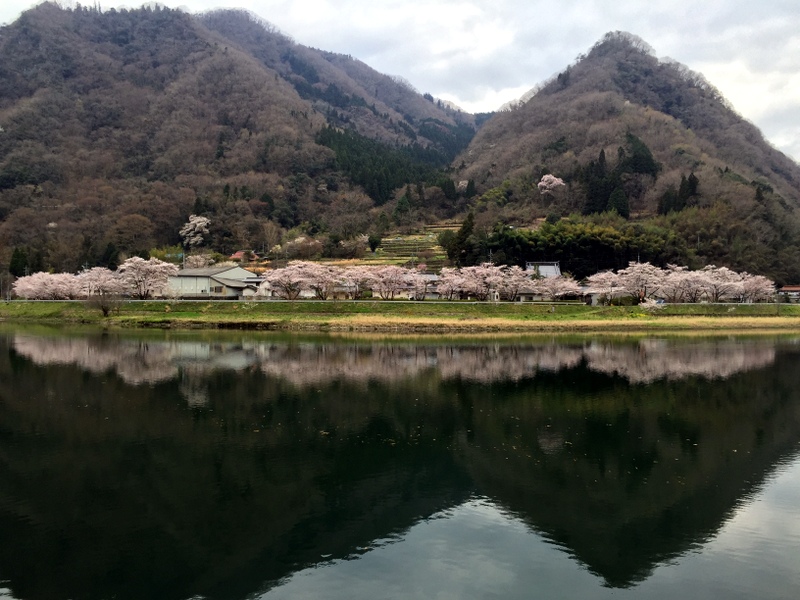 b0057140_21382956.jpg