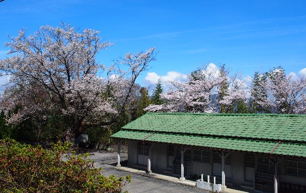b0149340_2115587.jpg