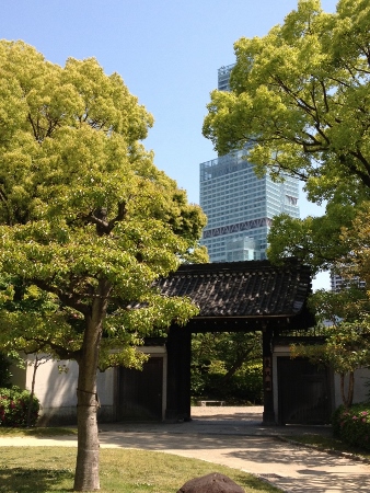 a0341548_17560540.jpg