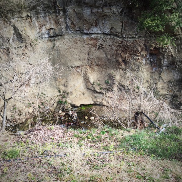 c0312349_19365582.jpeg