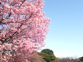 f0182550_1175873.jpg