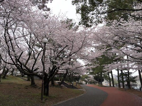 b0158551_02453634.jpg