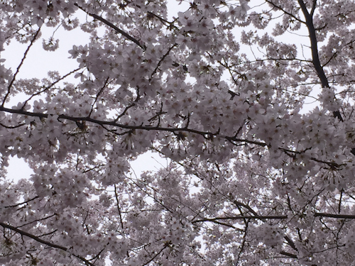 b0158551_02460094.jpg