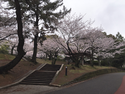 b0158551_02460846.jpg