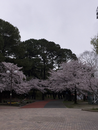 b0158551_02464130.jpg