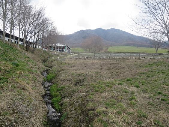 f0202151_20515071.jpg