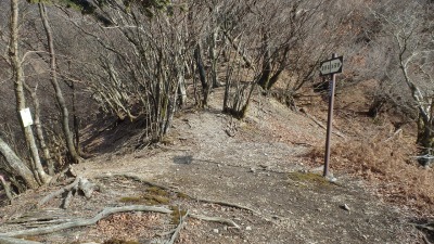 c0097754_20573922.jpg