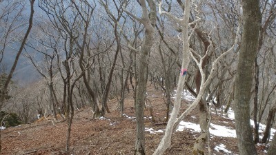 c0097754_21055147.jpg