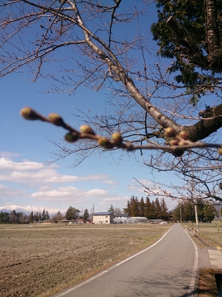 f0046262_06115122.jpg