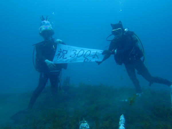 f0164662_14362238.jpg