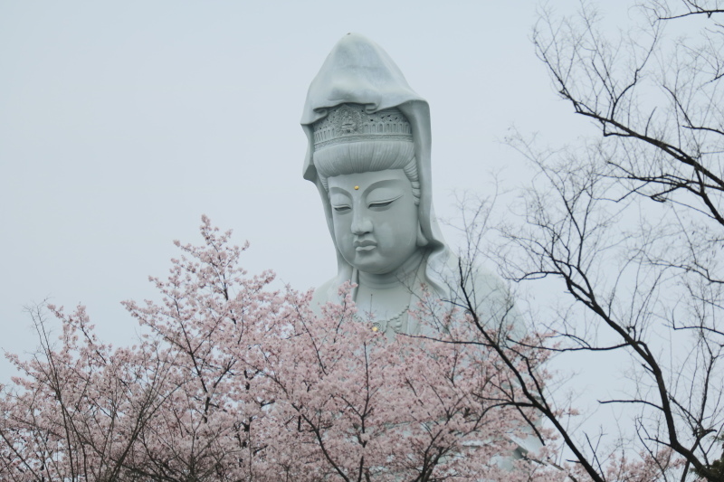f0345263_23382626.jpg