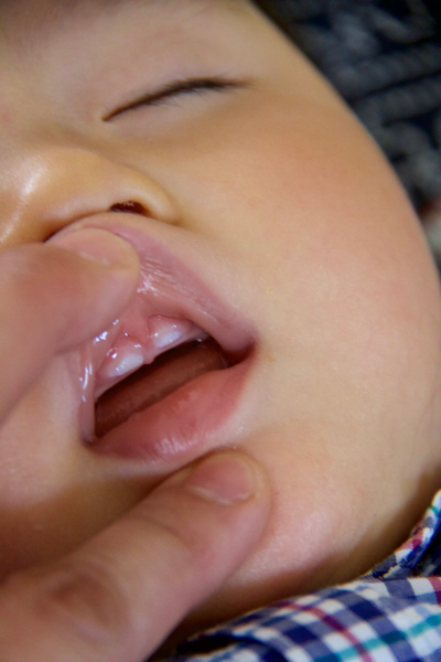 b0286869_10524950.jpg