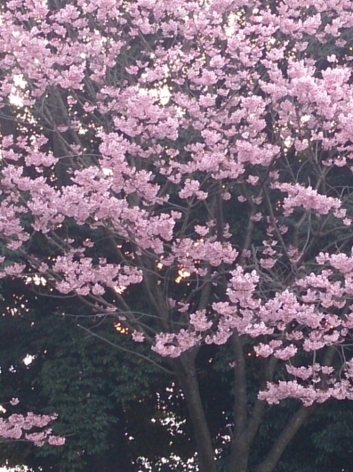 b0223370_08283547.jpg