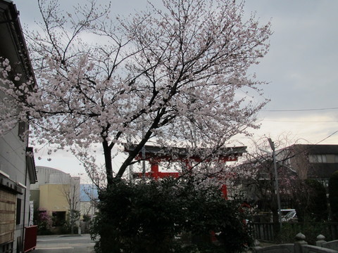 d0136670_17455841.jpg