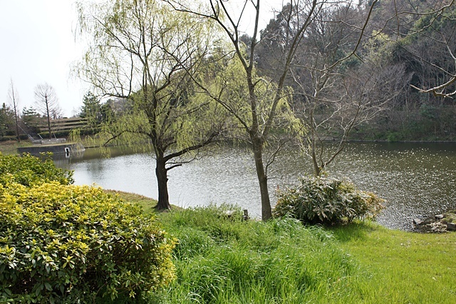 e0177271_22343701.jpg