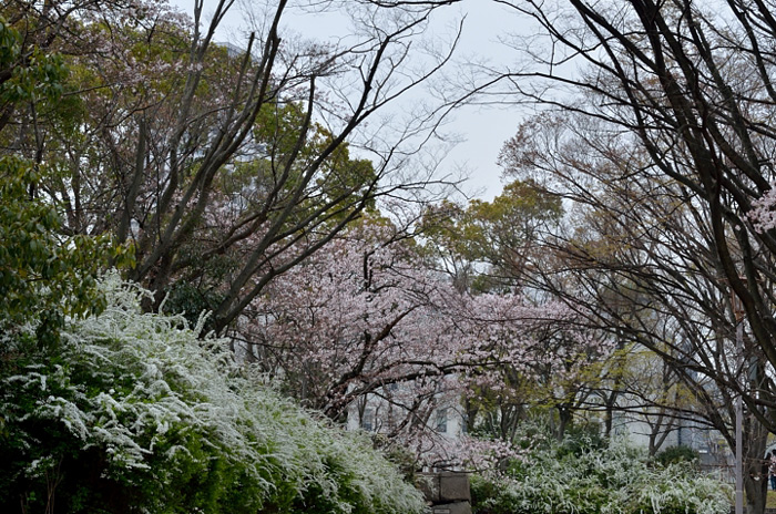 f0108478_2243548.jpg