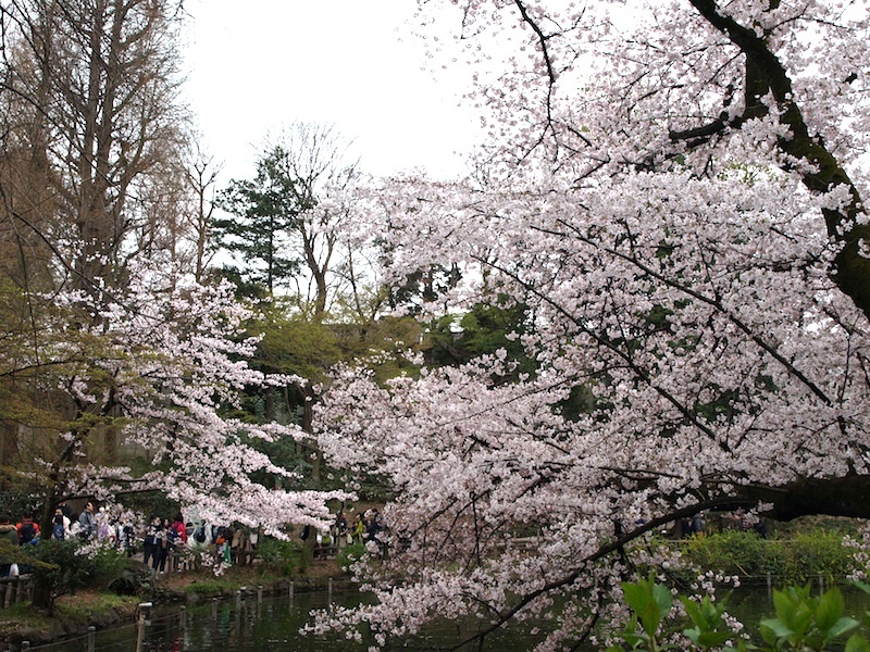 e0122680_14135560.jpg
