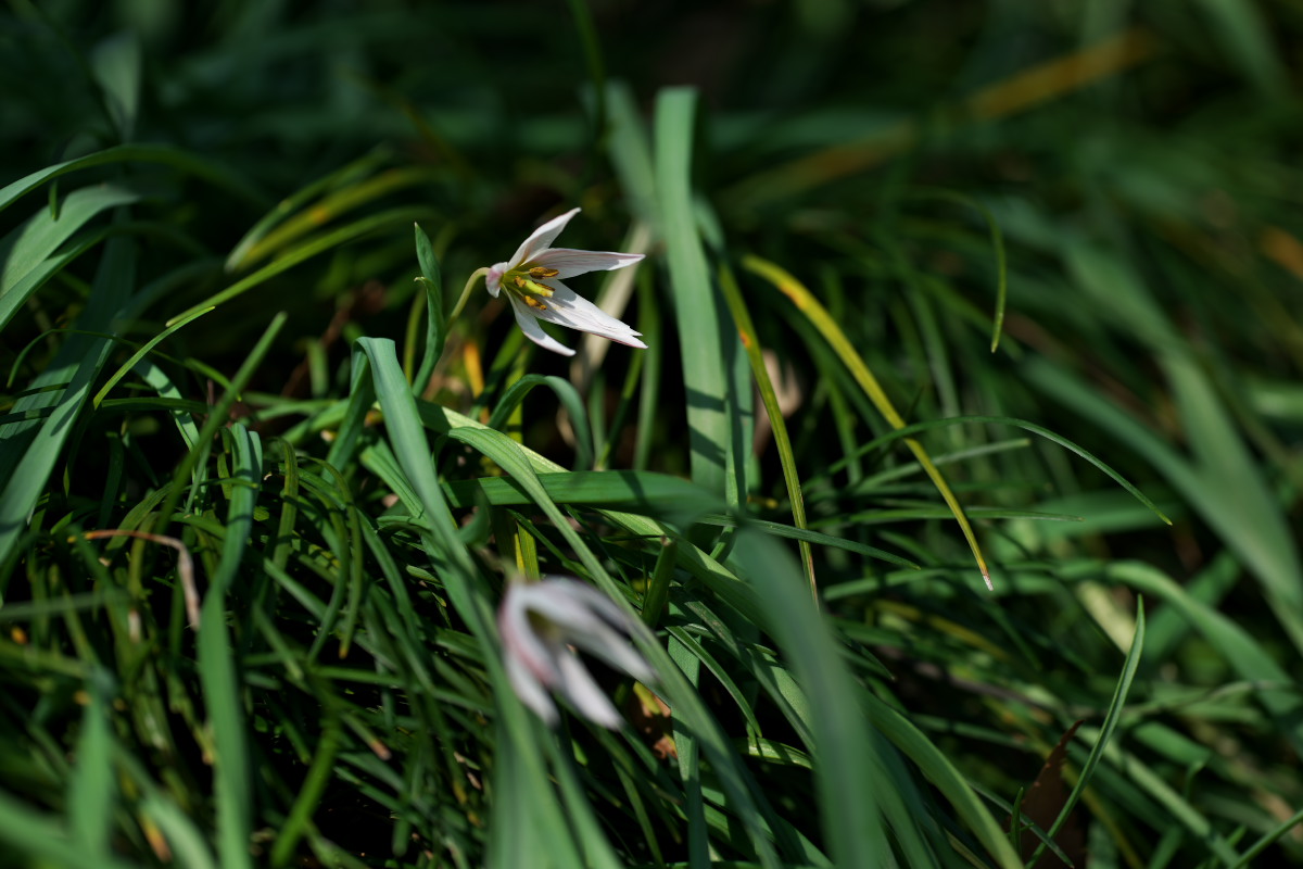 a0083081_20321347.jpg