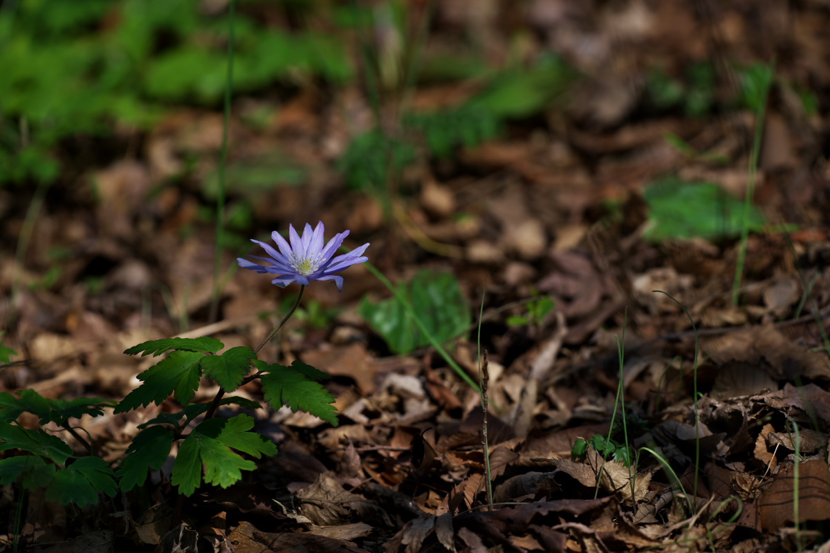 a0083081_2033255.jpg