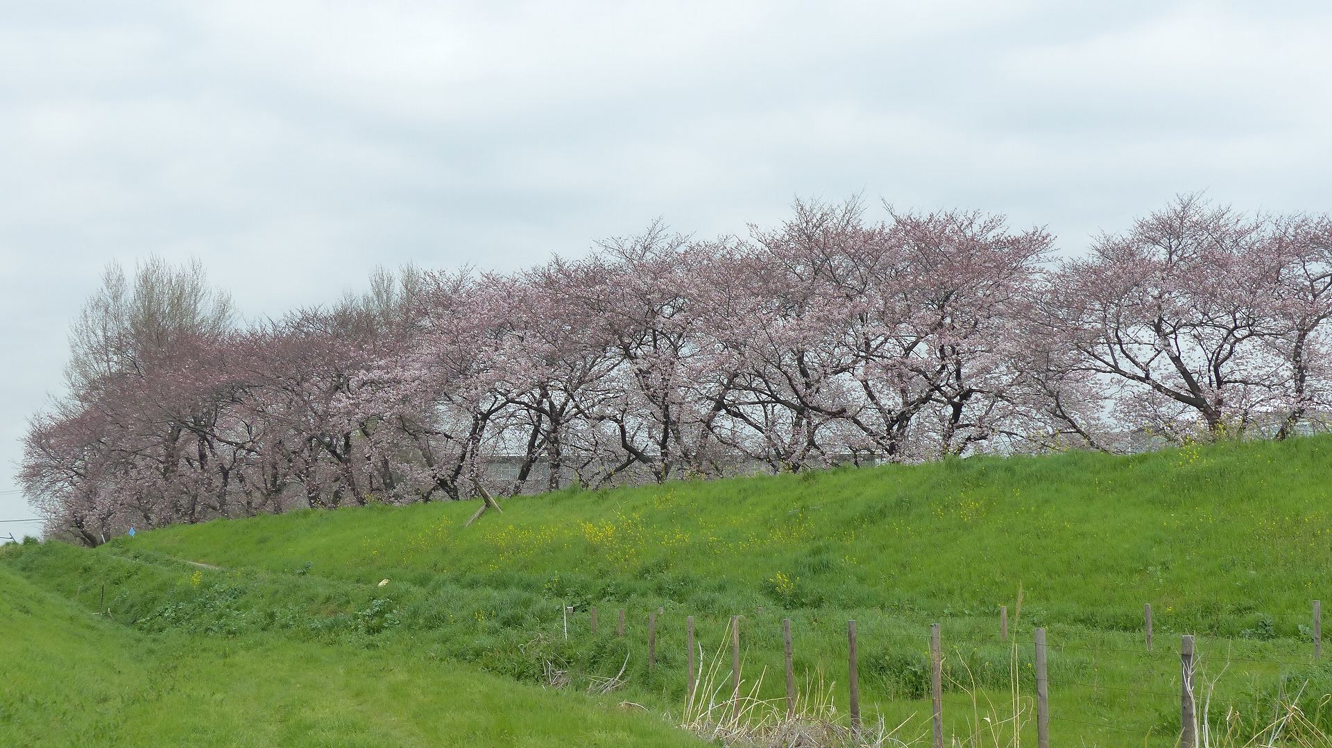a0185081_10205860.jpg