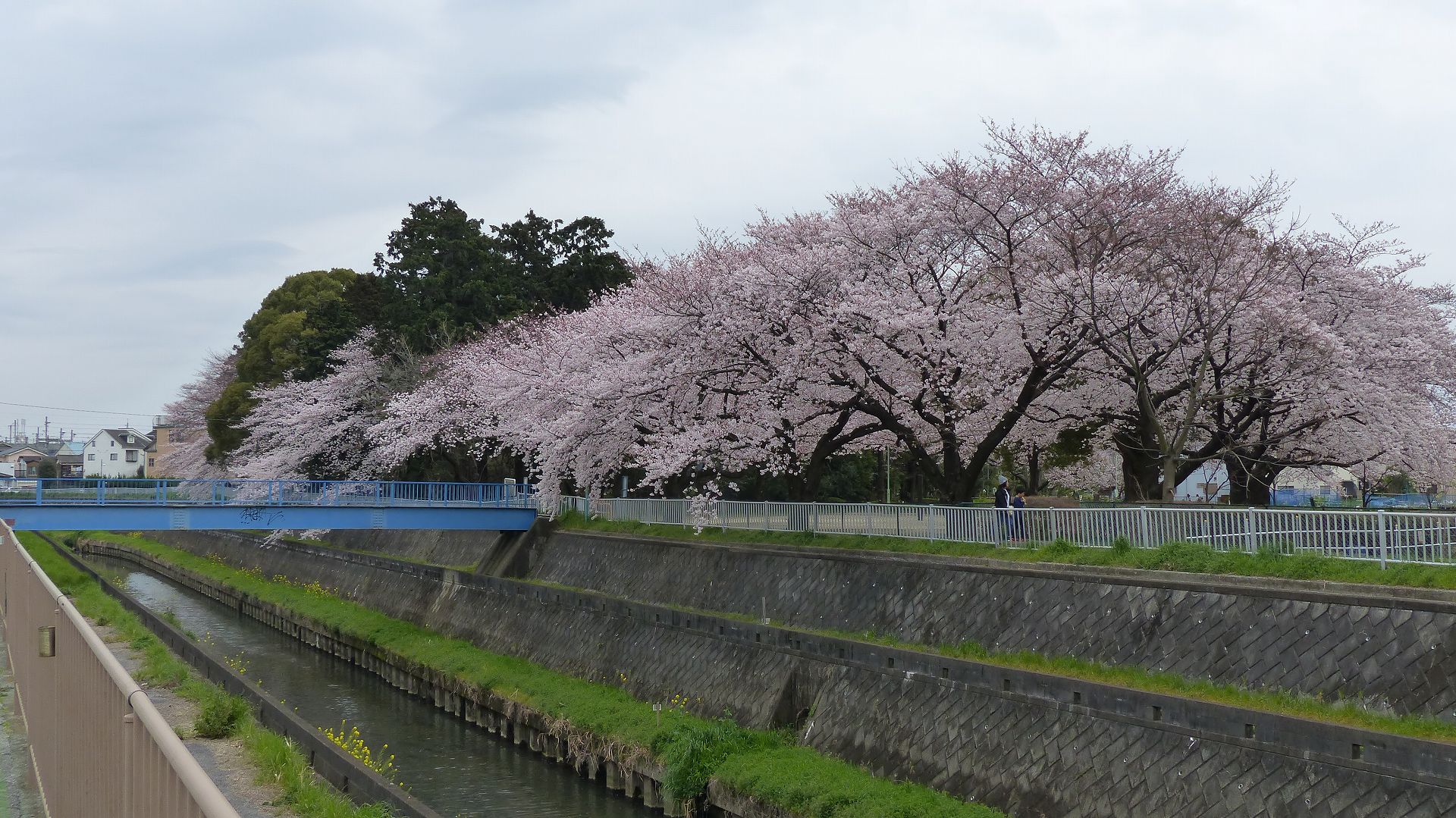 a0185081_102345.jpg
