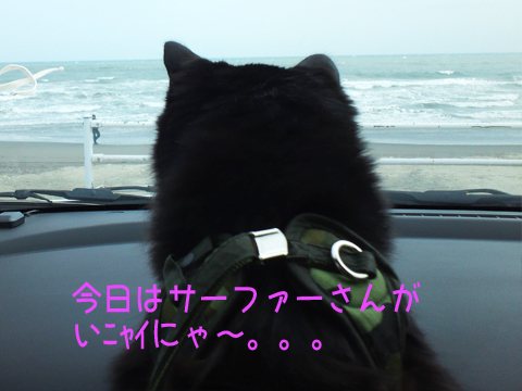 a0308381_08400662.jpg