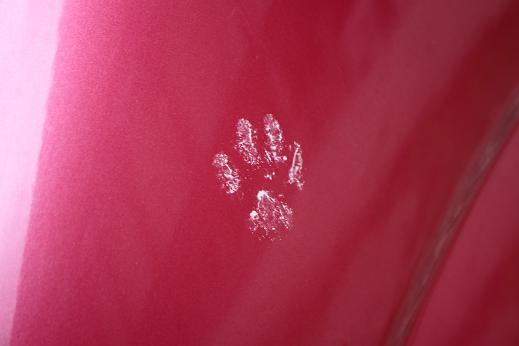 e0353681_14550394.jpg