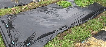 f0003283_03274550.jpg