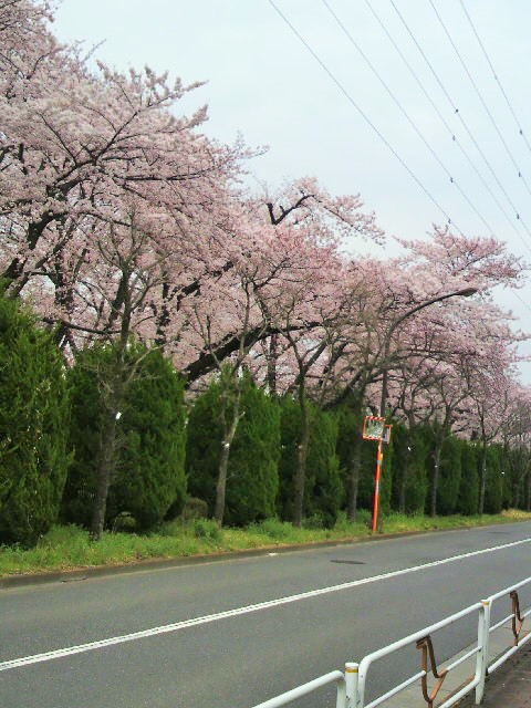c0198685_17381660.jpg