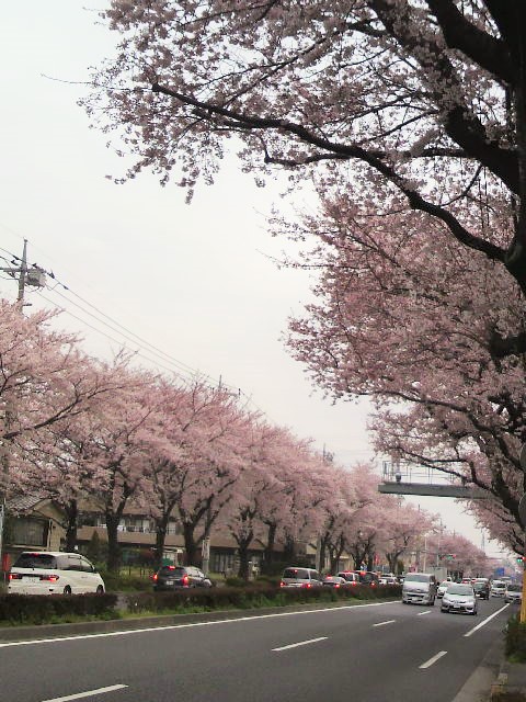 c0198685_17383783.jpg