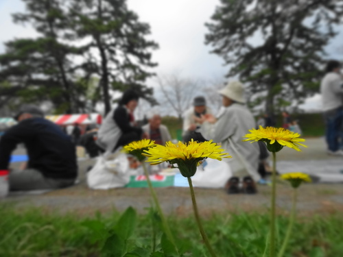 d0212491_18451959.jpg