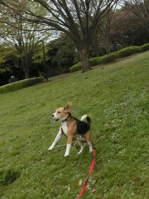 a0319693_2330473.jpg