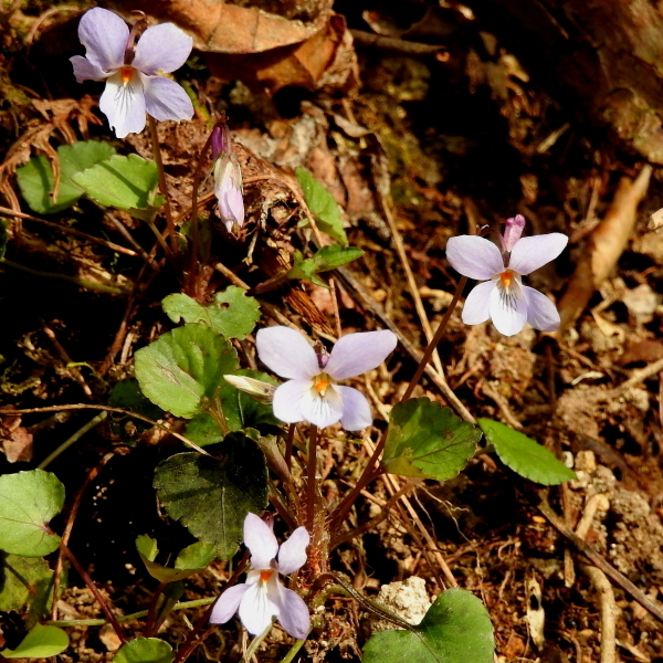 c0311196_21235508.jpg