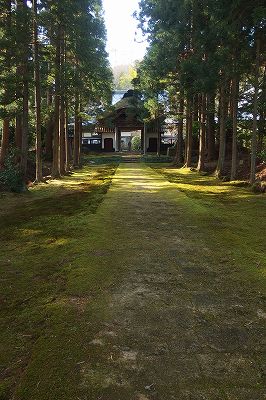 e0137200_1837259.jpg