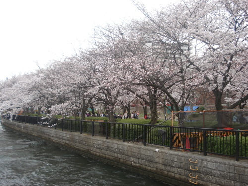 e0353802_15334083.jpg
