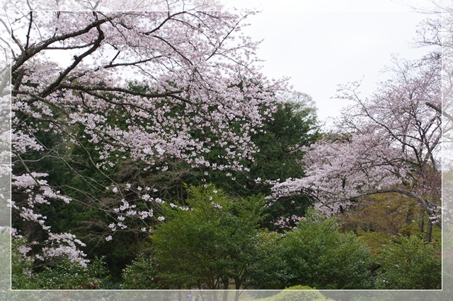 f0185804_202013100.jpg
