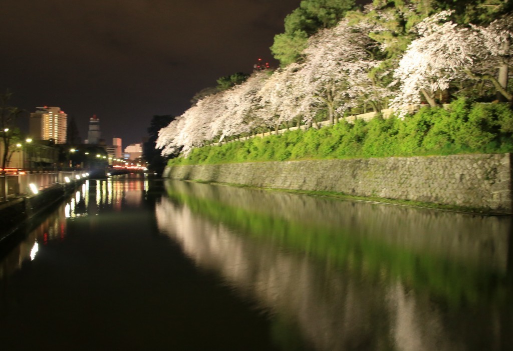 a0188405_20121716.jpg