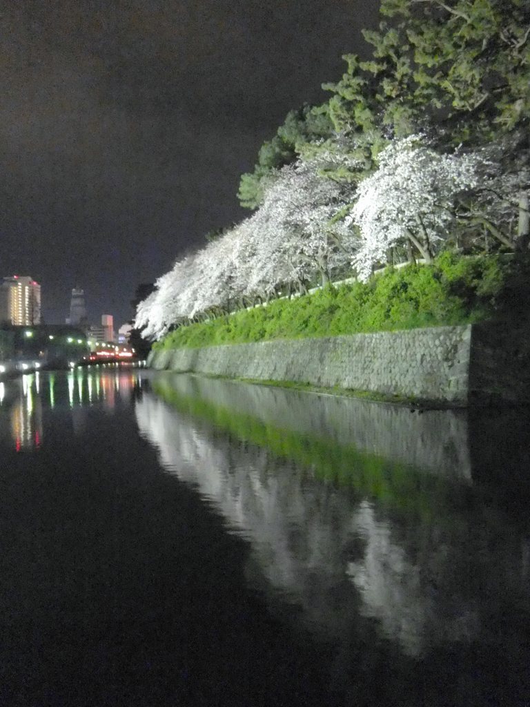 a0188405_20123362.jpg