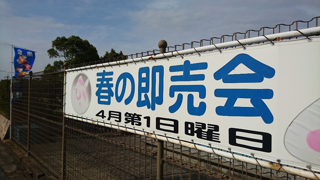b0298605_18132349.jpg