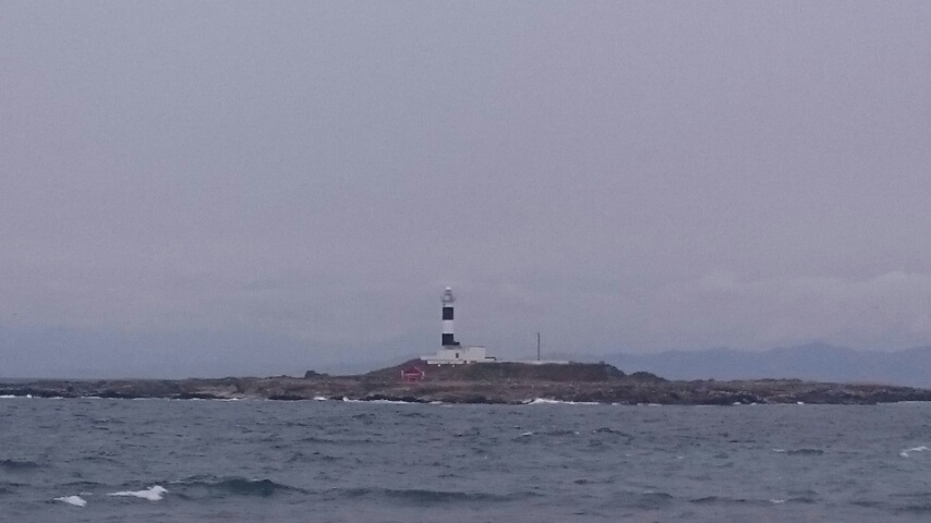d0149105_11531037.jpg
