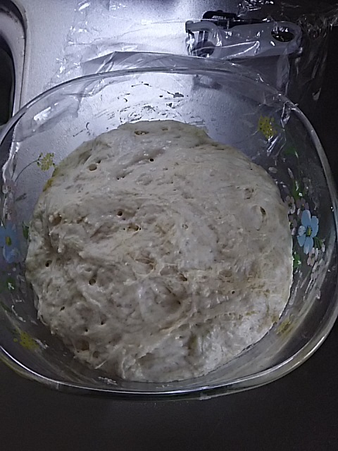 f0316507_13522220.jpg