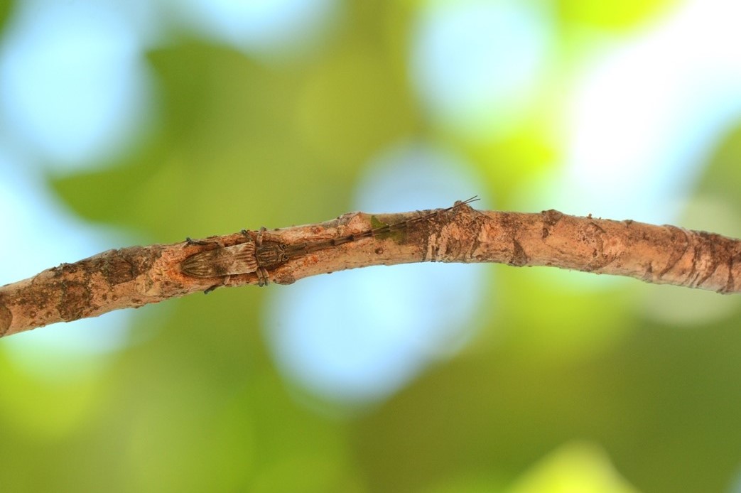b0137208_22311271.jpg