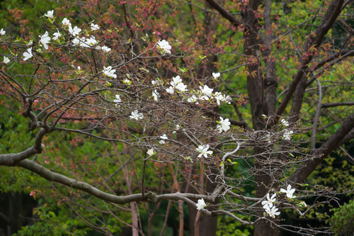 a0263109_20115379.jpg