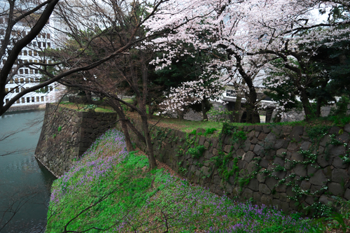 a0263109_20121082.jpg