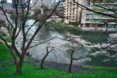a0263109_20122232.jpg