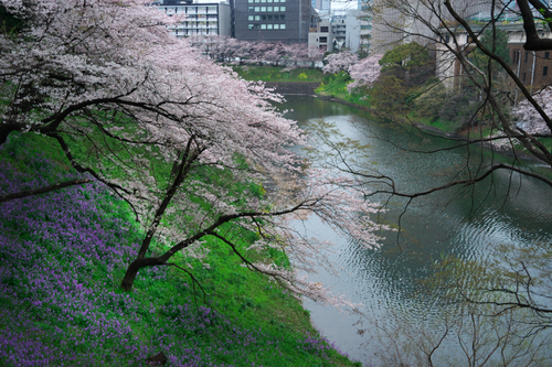a0263109_20122699.jpg