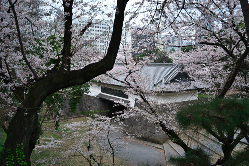 a0263109_2012367.jpg