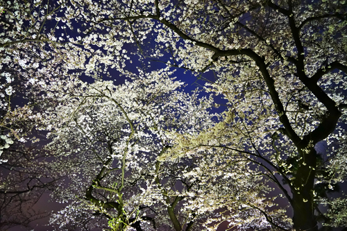 a0263109_20281859.jpg