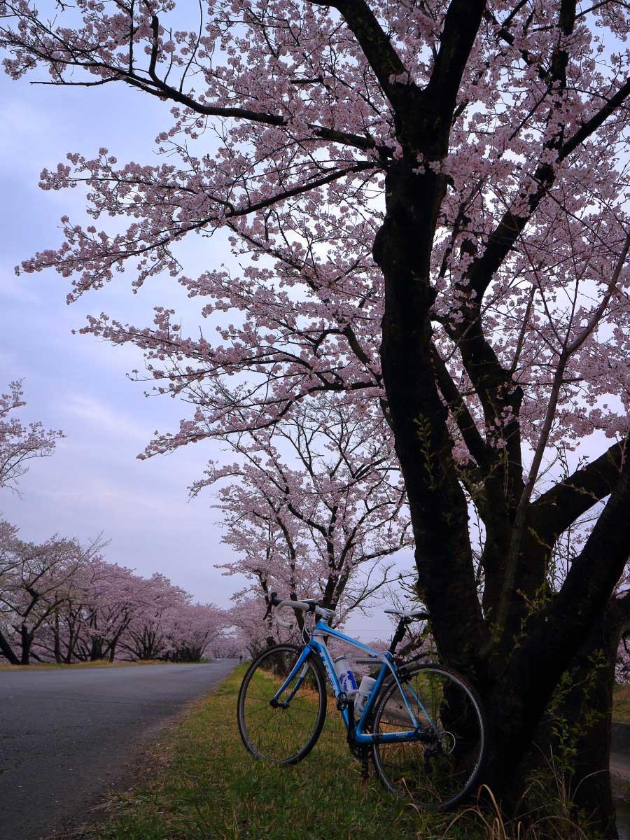 e0009009_20462480.jpg