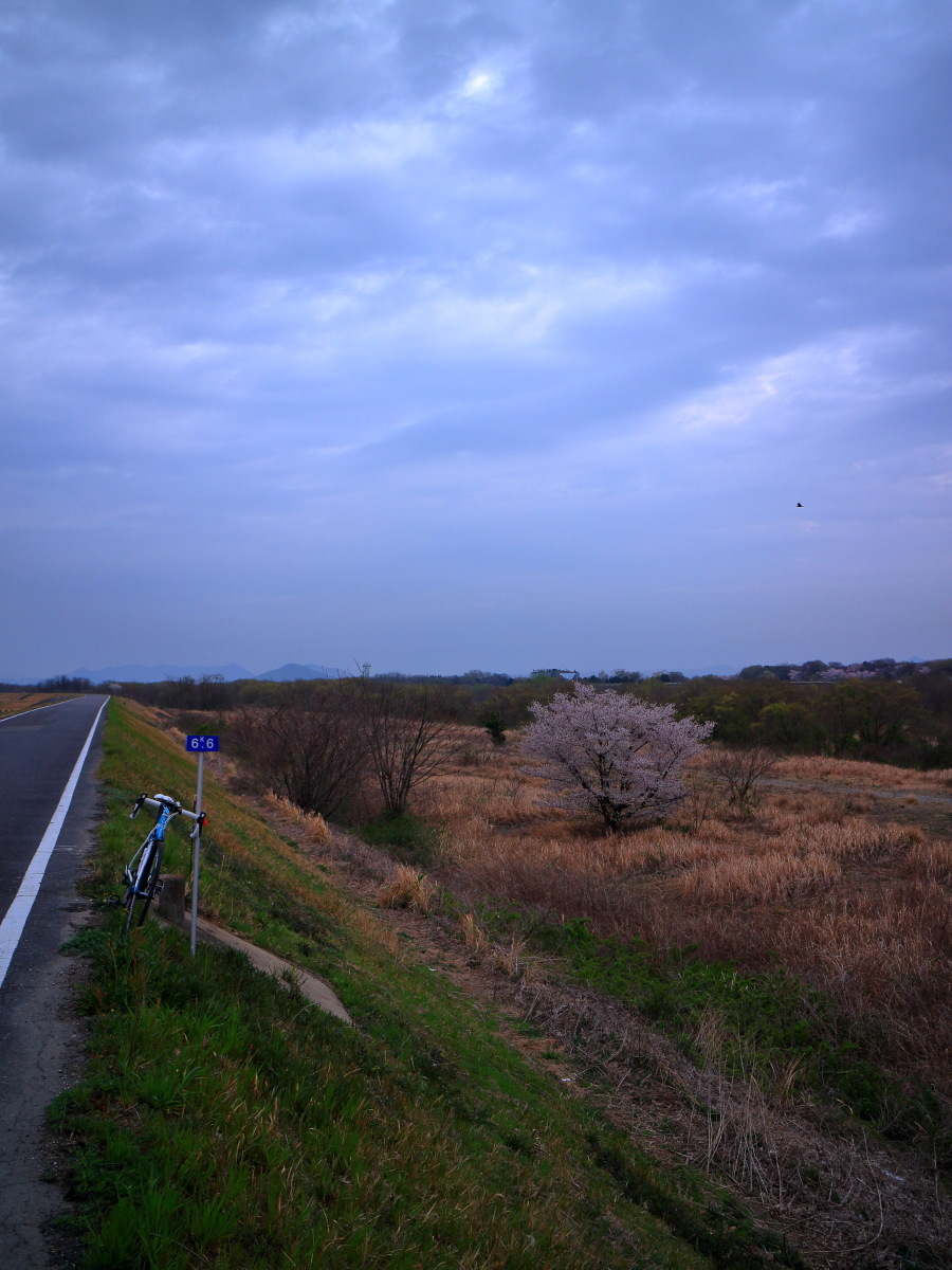 e0009009_20475232.jpg